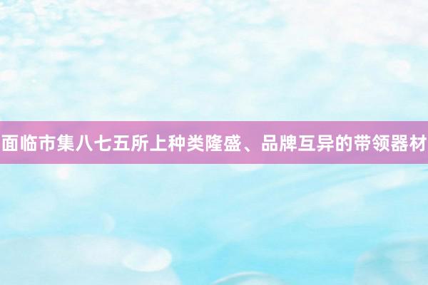 面临市集八七五所上种类隆盛、品牌互异的带领器材