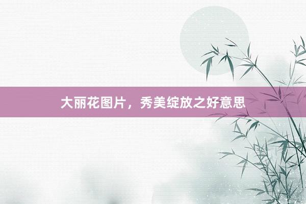 大丽花图片，秀美绽放之好意思