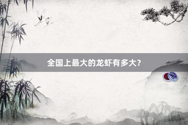 全国上最大的龙虾有多大？