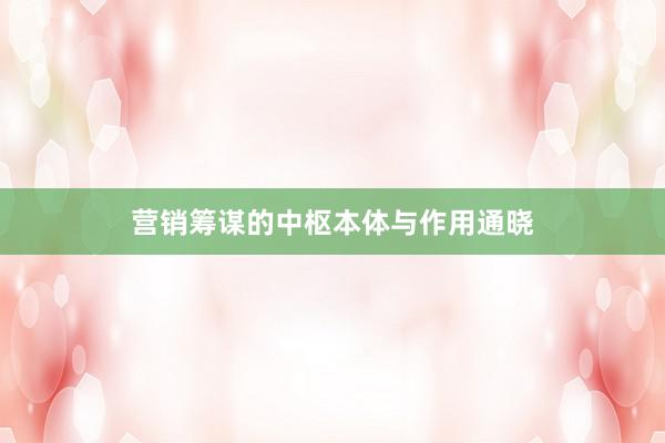 营销筹谋的中枢本体与作用通晓